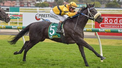 sa derby field|SA Derby Field – 2023 .